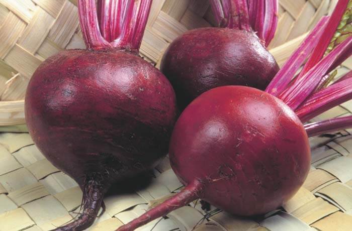 BEET ROOT SAMAG LAL SURAKH F1